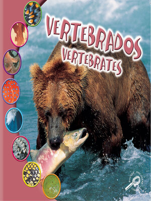 cover image of Vertebrados (Vertebrates)